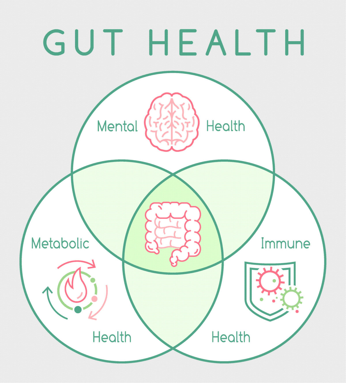 WHAT IS GUT HEALTH & WHY IS IT IMPORTANT? Bakers Delight